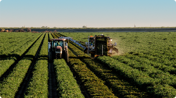 Farm Machine Harvesting Field