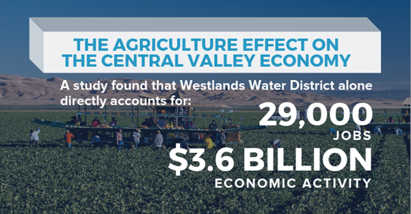 The Agriculture effect on the central valley economy. A study found that Westlands Water District alone directly accounts for 29,000 jobs and $3.6 Billion economic activity.