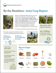 By the Numbers: 2023 Crop Report